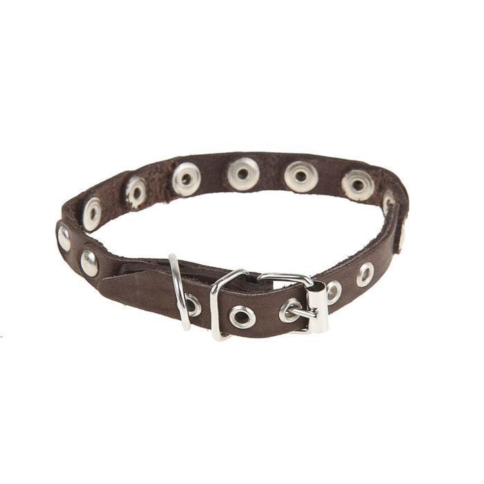 Ошейник кожаный чешуйчатый, 35 х 1,2 см, микс цветов