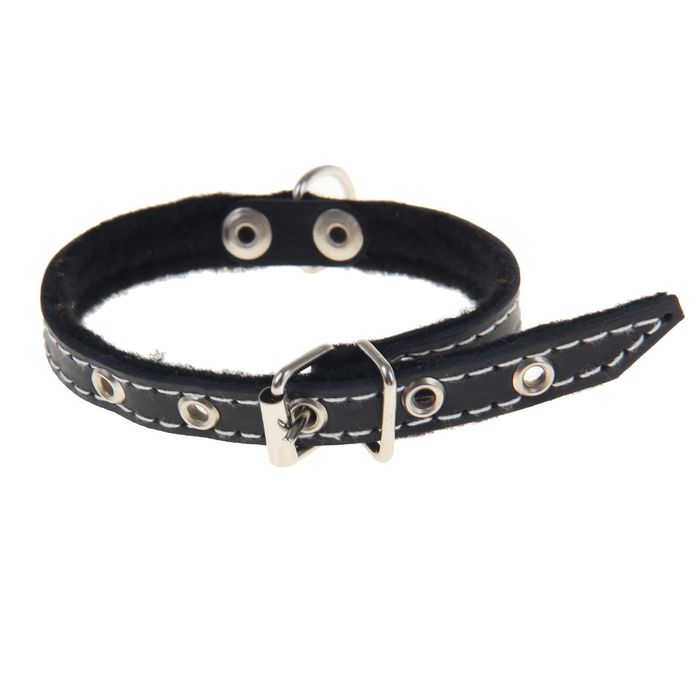 Ошейник кожаный тисненый на фетре, 30 х 1,2 см, микс цветов