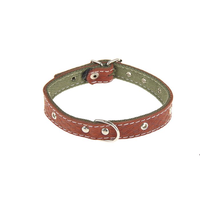 Ошейник комбинированный кожа/брезент, 46 х 2 см, безразмерный микс цветов