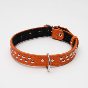 

Ошейник кожаный тисненый на фетре, 60 х 3 см, клепаный, микс цветов