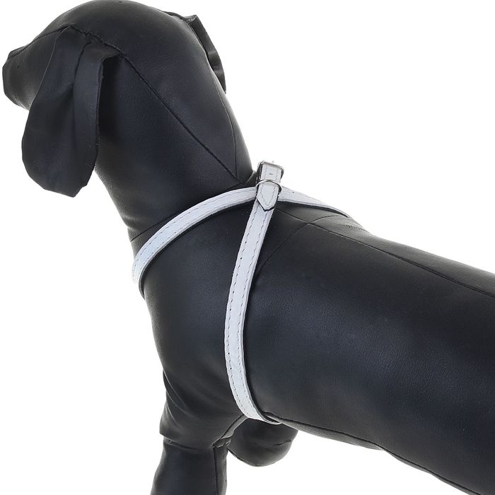 Шлейка кожаная двухслойная, регулируемая многоразмерная, 75 х 1,2 см, для маленьких кошек/собак, белая