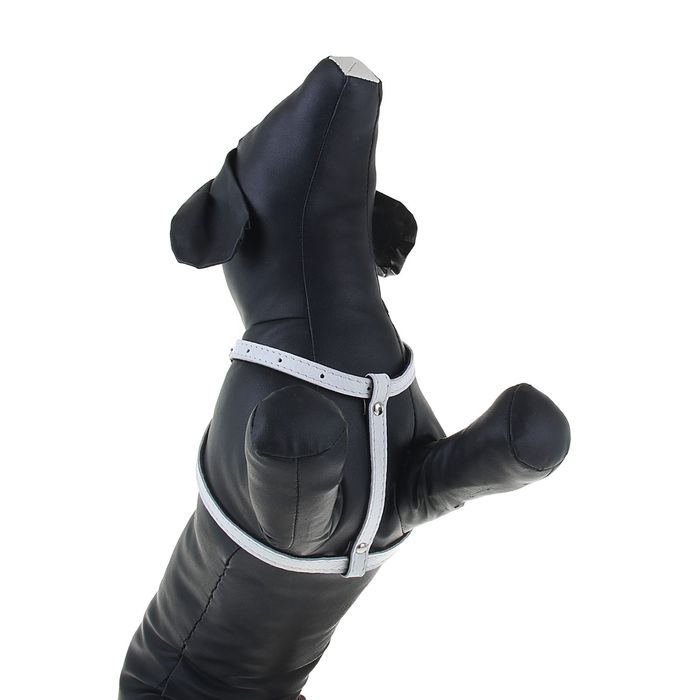 Шлейка кожаная двухслойная, регулируемая многоразмерная, 75 х 1,2 см, для маленьких кошек/собак, белая