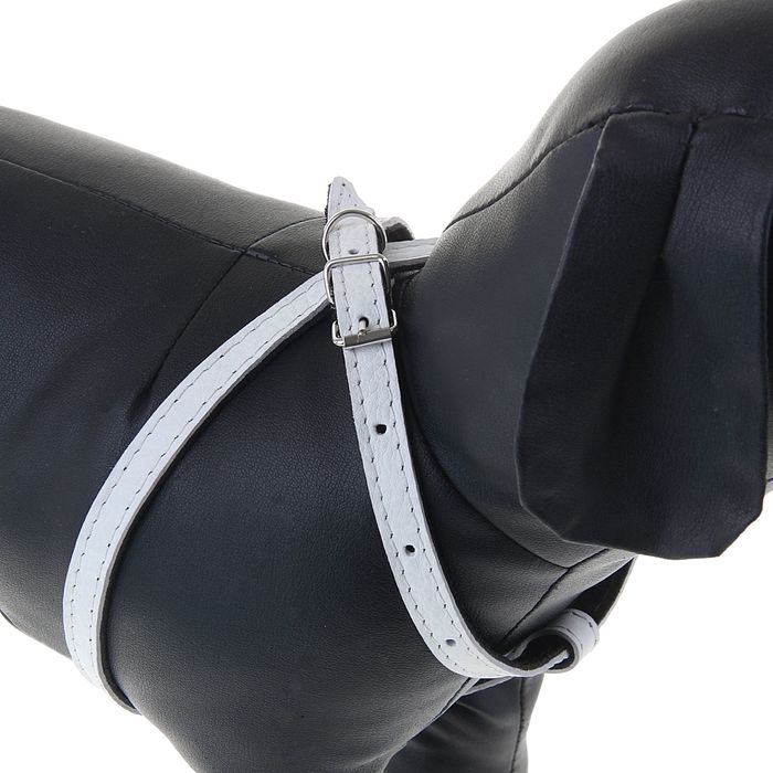 Шлейка кожаная двухслойная, регулируемая многоразмерная, 75 х 1,2 см, для маленьких кошек/собак, белая