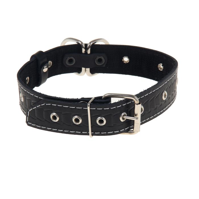 Ошейник кожаный усиленный капроном, 62 х 3,5 см, с полукольцом, микс цветов