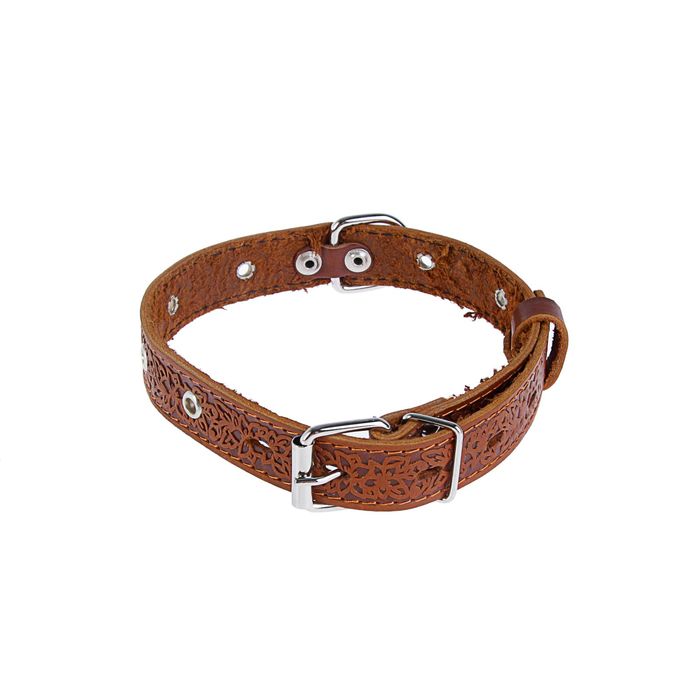 Ошейник кожаный тисненый однослойный, 55 х 2,5 см, безразмерный, микс цветов