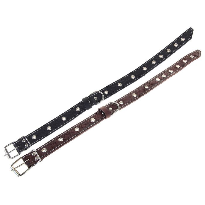 Ошейник кожаный тисненый однослойный, 55 х 2,5 см, безразмерный, микс цветов