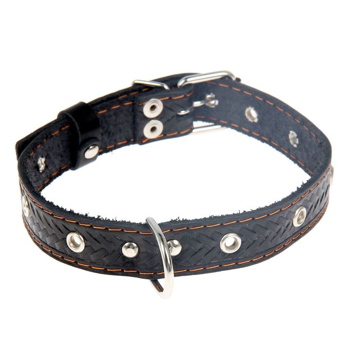 Ошейник кожаный тисненый однослойный, 55 х 2,5 см, безразмерный, микс цветов