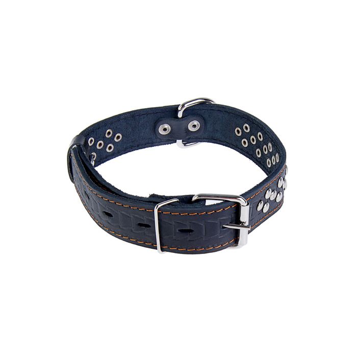 Ошейник кожаный тисненый однослойный, 53 х 3,5 см, клепаный, микс цветов