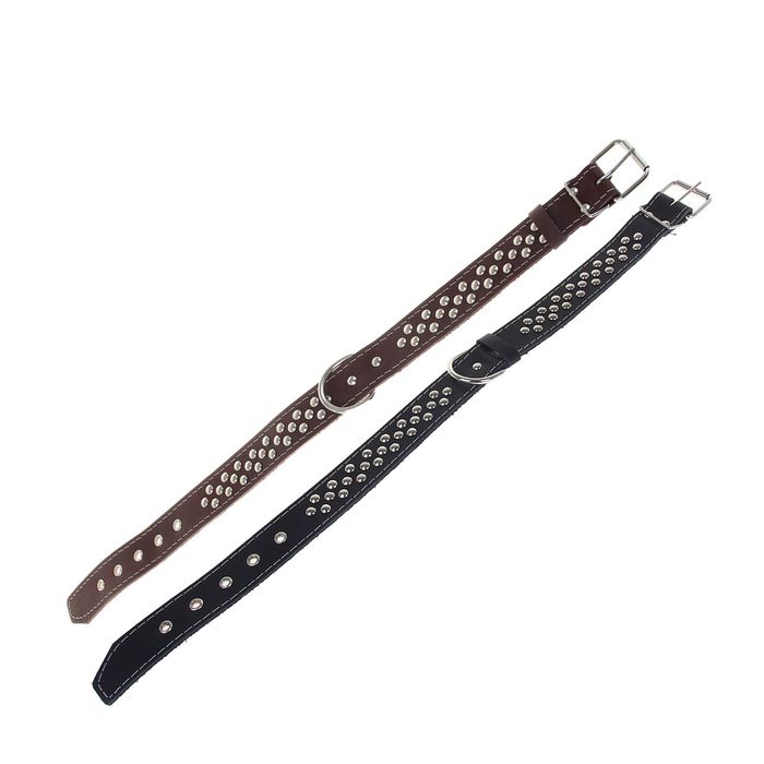 Ошейник кожаный тисненый однослойный, 53 х 3,5 см, клепаный, микс цветов