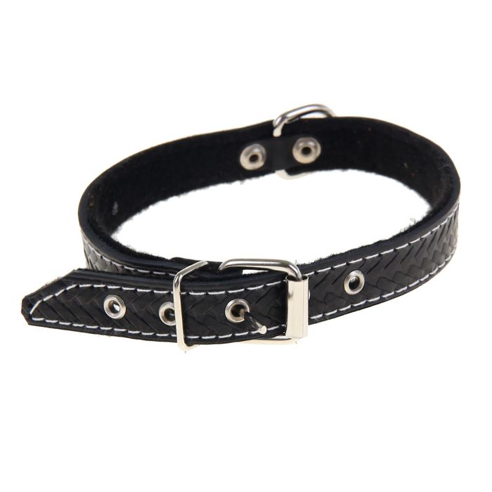 Ошейник кожаный тисненый на фетре, 46 х 2 см, микс цветов