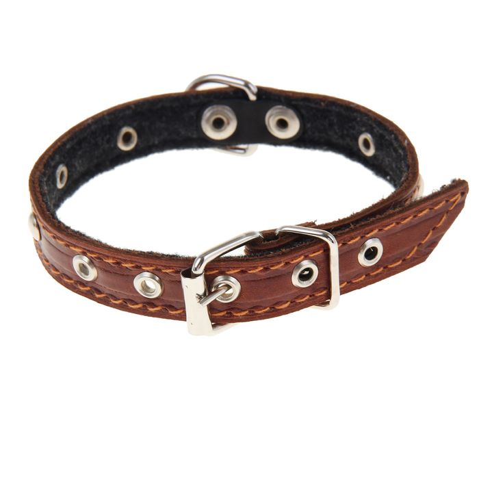 Ошейник кожаный тисненый на фетре, 33 х 1,5 см, микс цветов