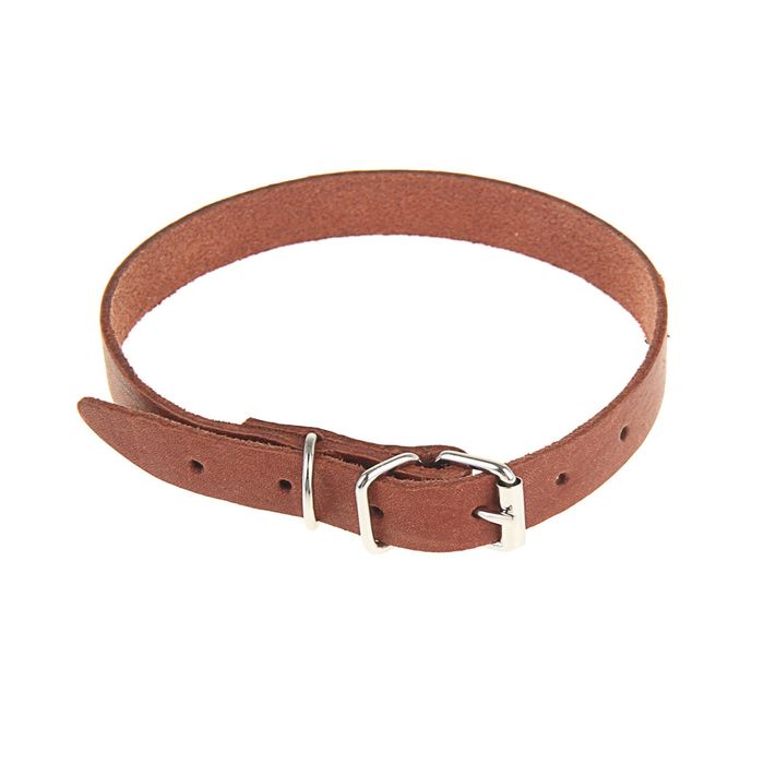 Ошейник кожаный однослойный, 35 х 1,3 см, коричневый