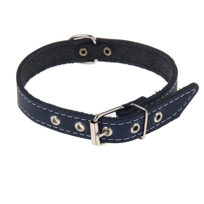 Ошейник кожаный двухслойный с выносным полукольцом, 40 х 2 см, микс цветов