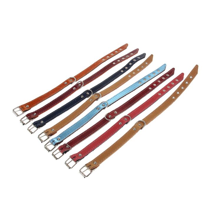 Ошейник кожаный двухслойный с выносным полукольцом, 40 х 2 см, микс цветов