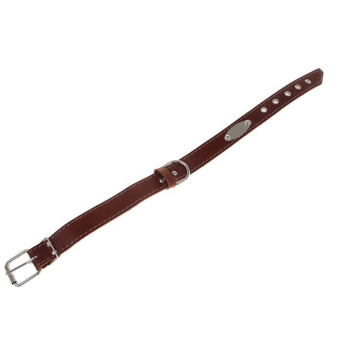 Ошейник кожаный тисненый однослойный, 60 х 3 см, с табличкой, микс цветов