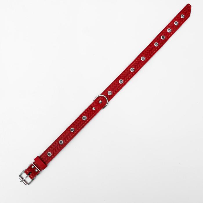 Ошейник комбинированный кожа/брезент, 56 х 2,5 см, безразмерный