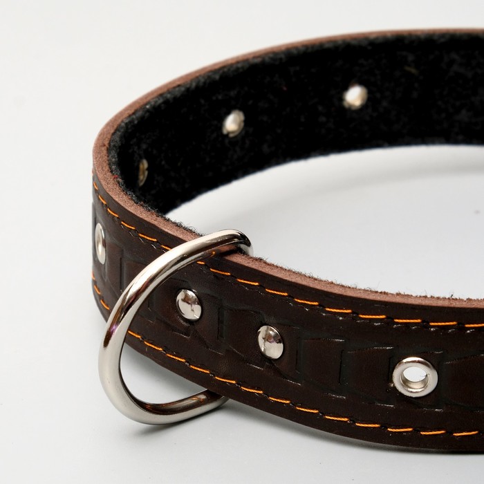 Ошейник кожаный тисненый на фетре, 52 х 3,5 см, безразмерный, микс цветов