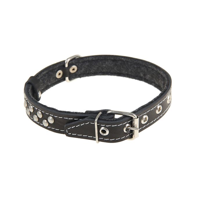 Ошейник кожаный тисненый на фетре, 53 х 2,5 см, клепаный, микс цветов