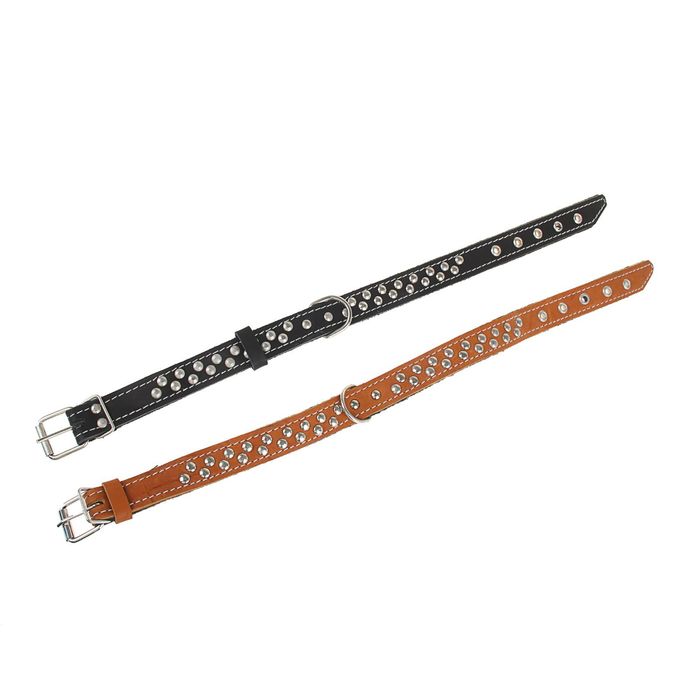 Ошейник кожаный тисненый на фетре, 53 х 2,5 см, клепаный, микс цветов