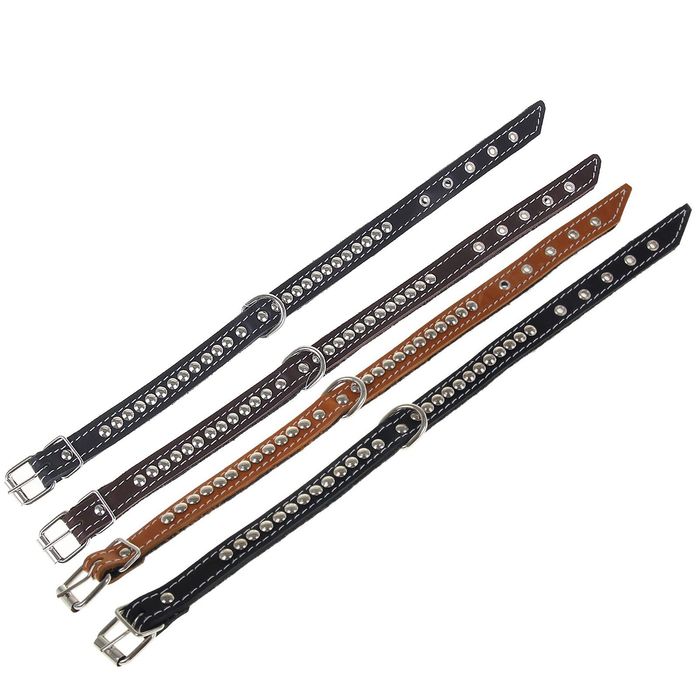 Ошейник кожаный тисненый на фетре, 45,5 х 2 см, клепаный, микс цветов