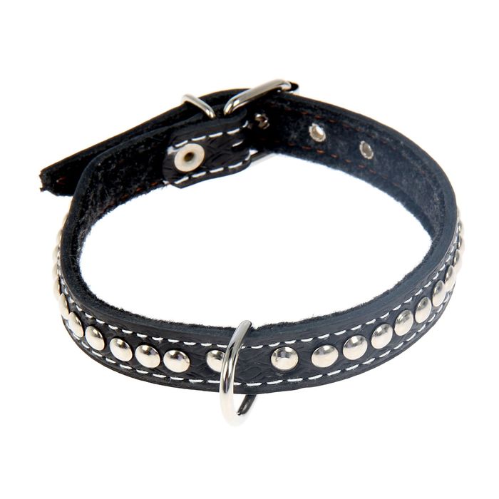 Ошейник кожаный тисненый на фетре, 45,5 х 2 см, клепаный, микс цветов