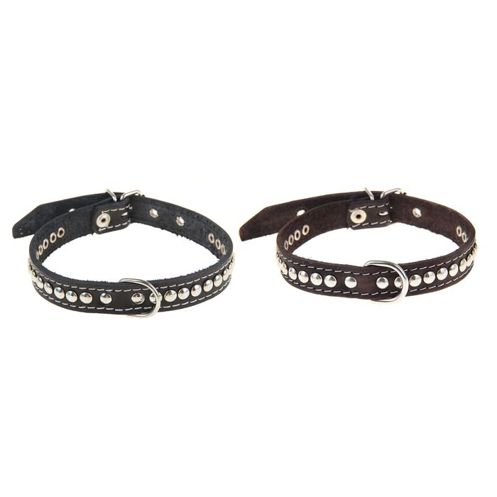 Ошейник кожаный тисненый однослойный, 45 х 2 см, клепаный, микс цветов