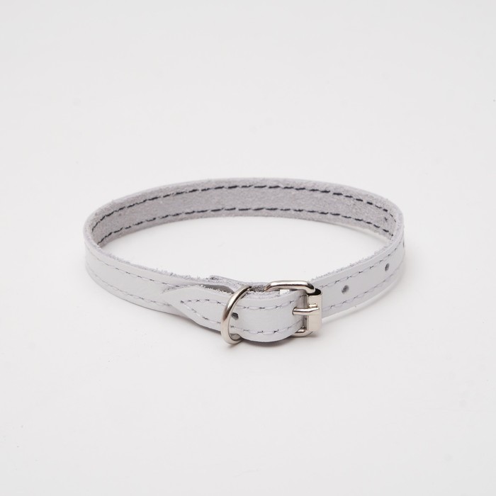 Ошейник кожаный однослойный, 25 х 1,2 см, белый