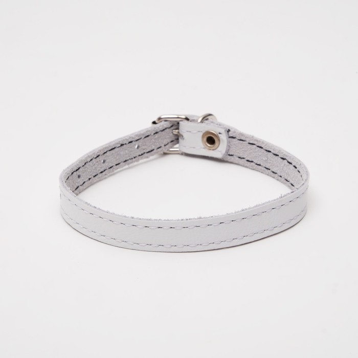 Ошейник кожаный однослойный, 25 х 1,2 см, белый