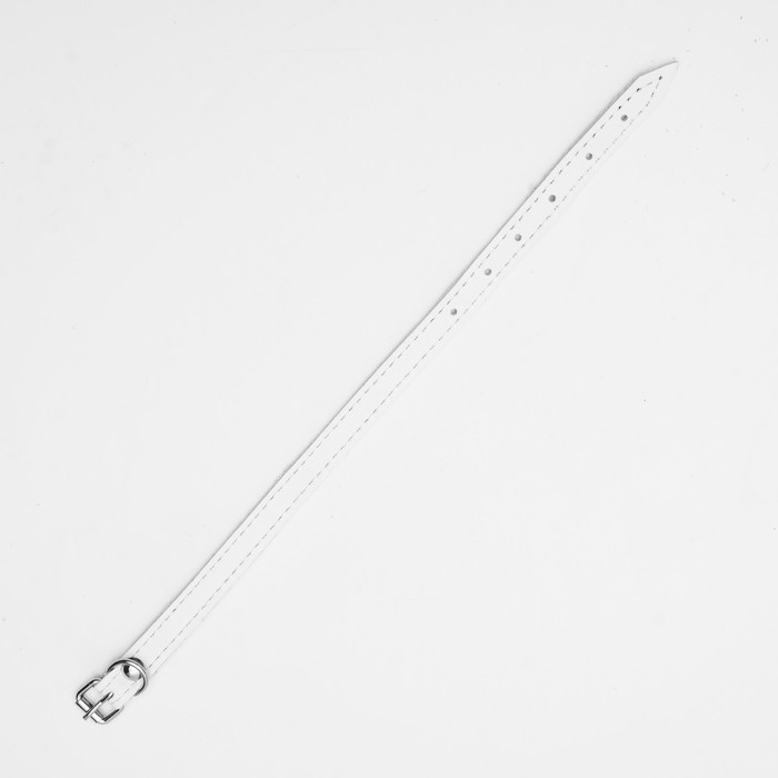 Ошейник кожаный однослойный, 25 х 1,2 см, белый