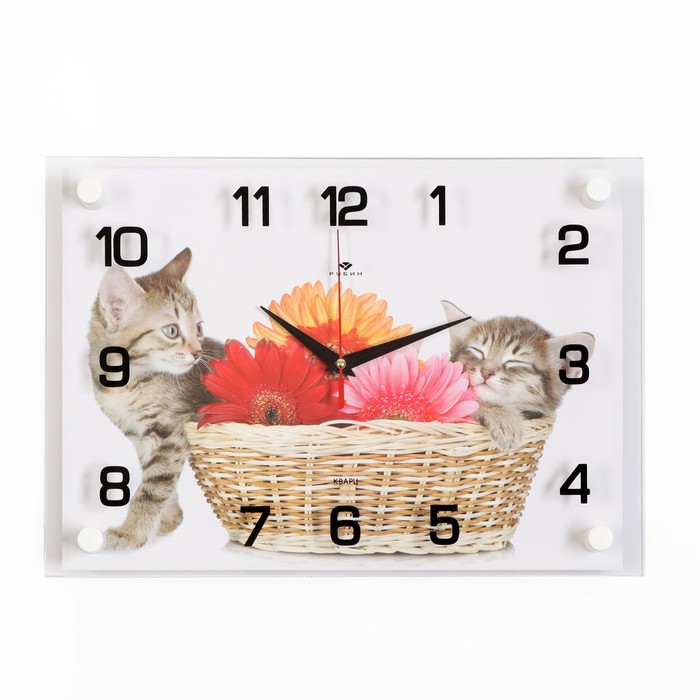 Часы настенные прямоугольные "Котята", 25х35 см микс