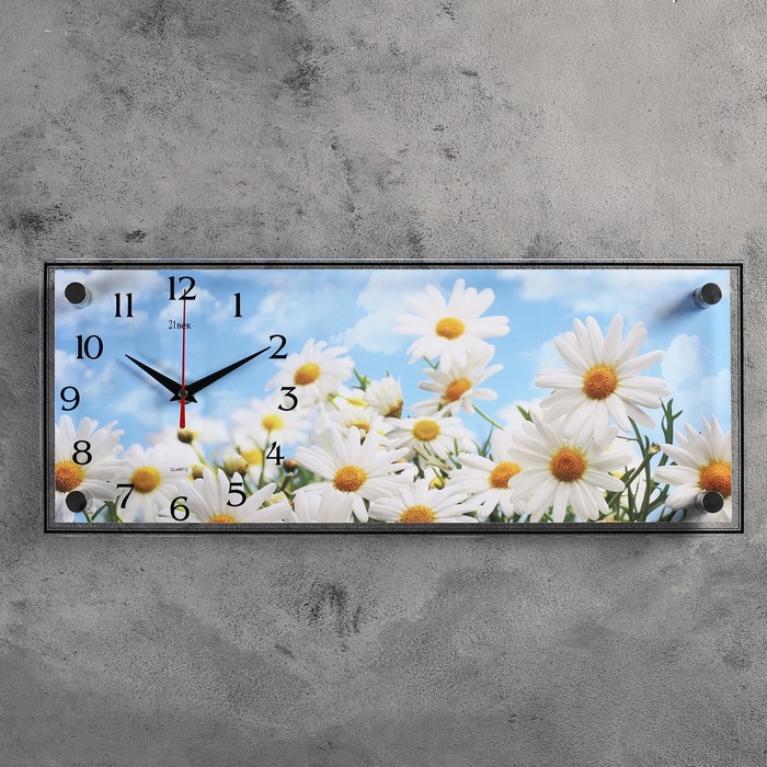 Часы настенные прямоугольные "Полевые ромашки", 20х50 см микс