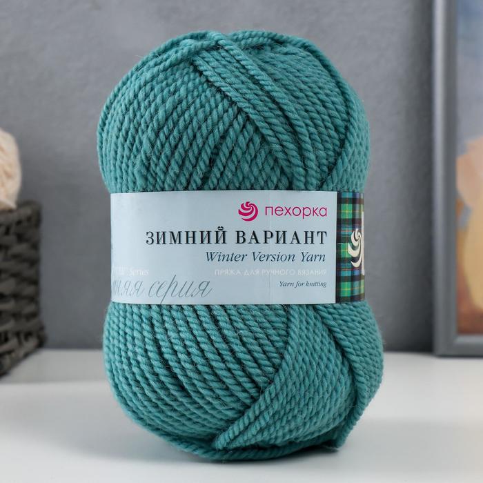 Пряжа "Зимний вариант" 95% имп.шерсть, 5% акрил объёмный 100м/100гр (574-Тайфун)