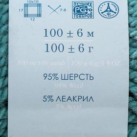 

Пряжа "Зимний вариант" 95% имп.шерсть, 5% акрил объёмный 100м/100гр (574-Тайфун)