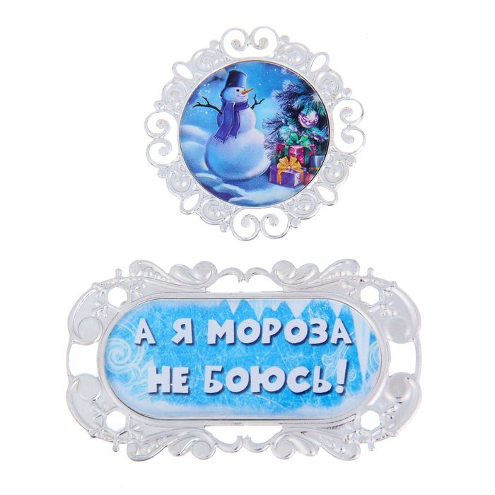 Декор металлический для скрапбукинга Мороз и солнце «Мороза не боюсь!», 7,4 × 14,6 см