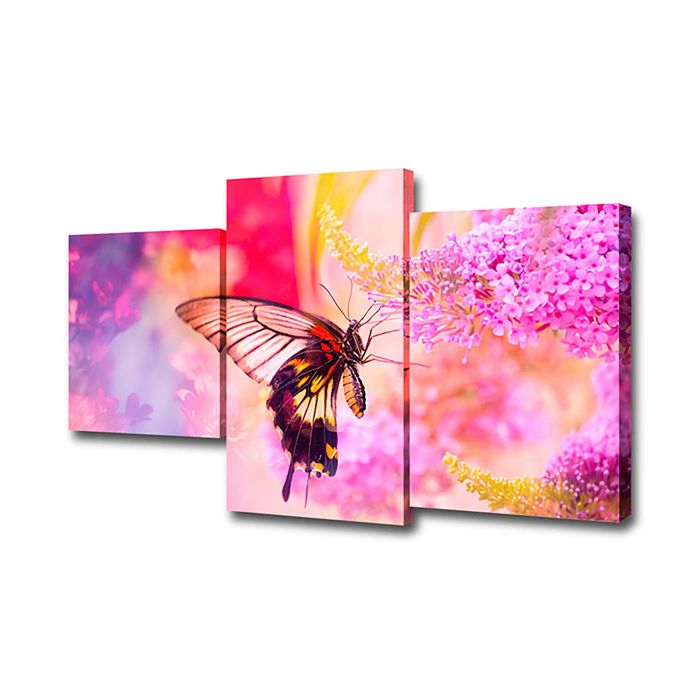 Модульная картина на подрамнике "Бабочка"