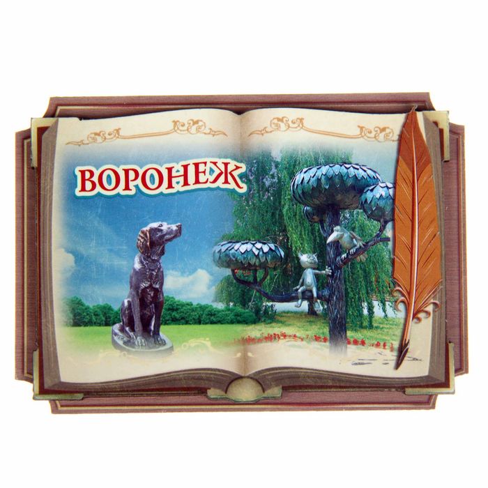 Магнит в форме книги «Воронеж»