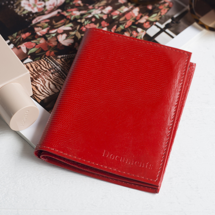 Обложка для автодокументов и паспорта, красная игуана