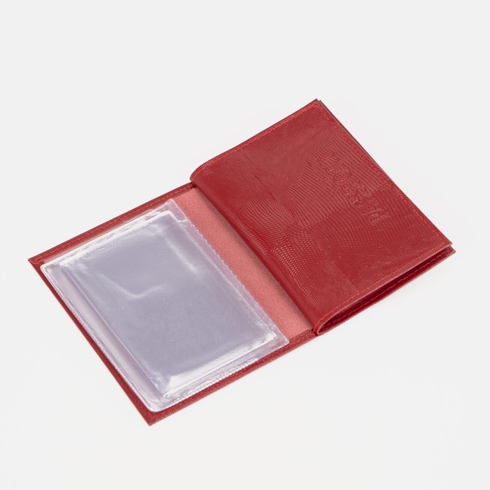 Обложка для автодокументов и паспорта, игуана красный