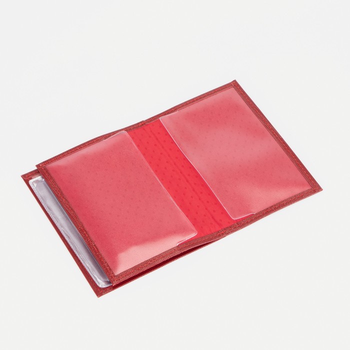 Обложка для автодокументов и паспорта, игуана красный