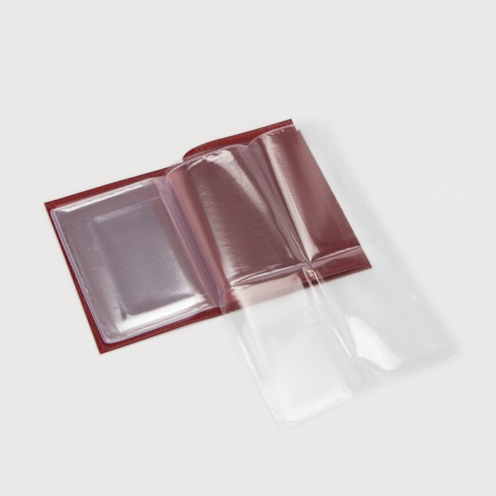 Обложка для автодокументов и паспорта, игуана красный