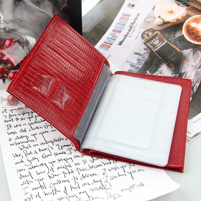 Обложка для автодокументов и паспорта, красная игуана