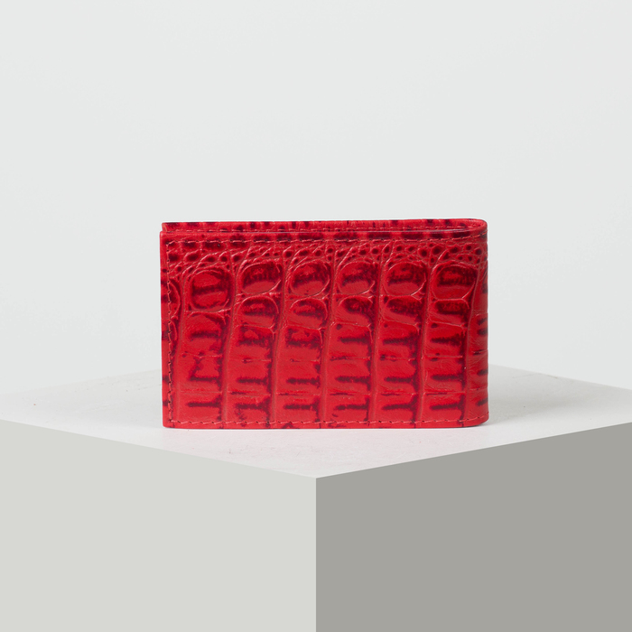 Кредитница, 1 ряд, 18 листов, цвет красный