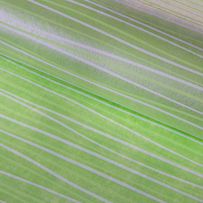 Фетр ламинированный "Линии", зелёный, 60 х 60 см