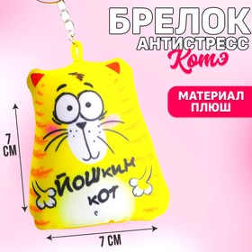 Брелок-антистресс «Йошкин кот», 7×7 см Ош
