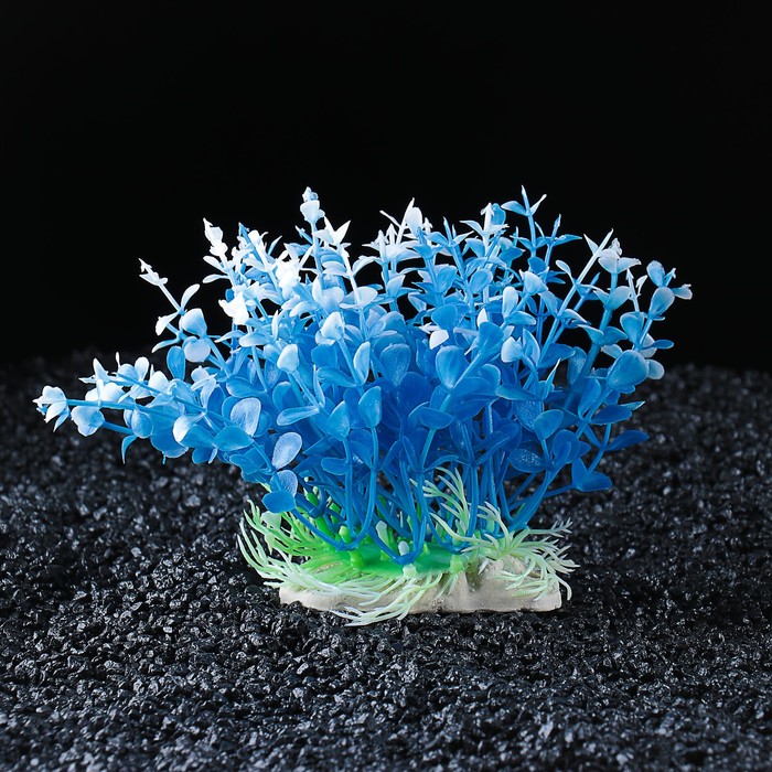 Растение искусственное аквариумное, 14 х 8 х 12 см