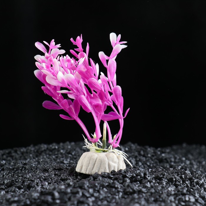 Растение искусственное аквариумное Альтернантера сидячая, 10 см