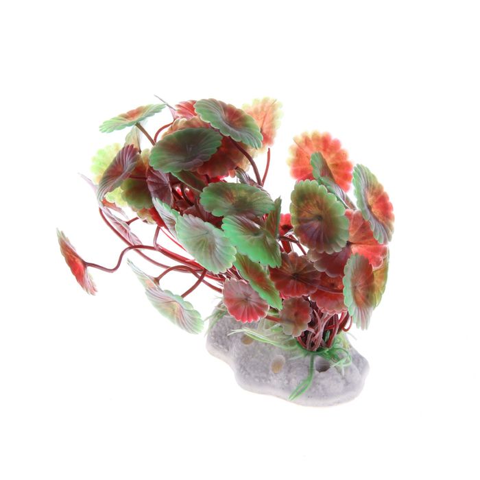 Растение искусственное аквариумное Щитолистник, 14 х 8 х 11 см