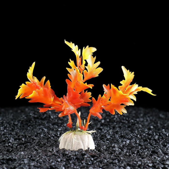 Растение искусственное аквариумное Лимнофила, 10 см, оранжевая