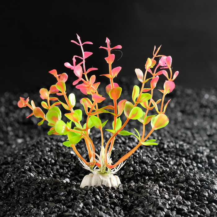 Растение искусственное аквариумное Ротала круглолистная, 10 см, бордовая