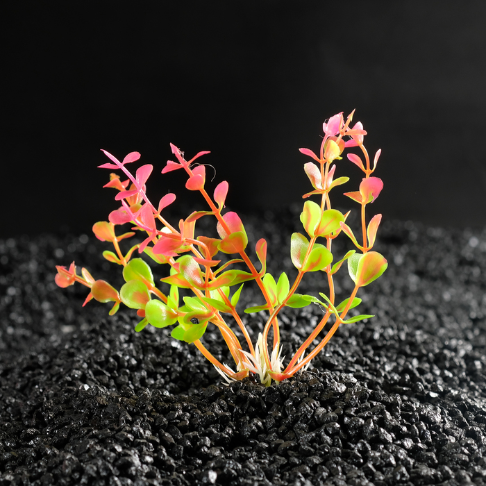 Растение искусственное аквариумное Ротала круглолистная, 10 см, бордовая